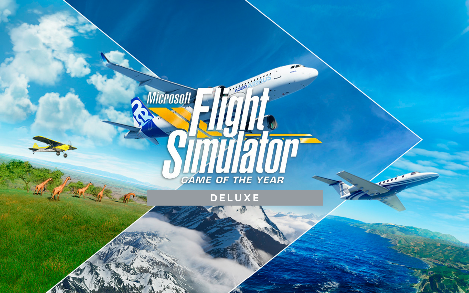 Simulador: FLIGHT SIMULATOR X (DELUXE EDITION)